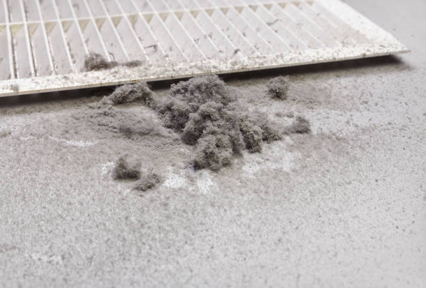 Best Emergency Air Duct Cleaning  in West Wyomissing, PA