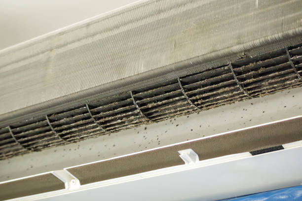 Best Residential Air Duct Cleaning  in West Wyomissing, PA